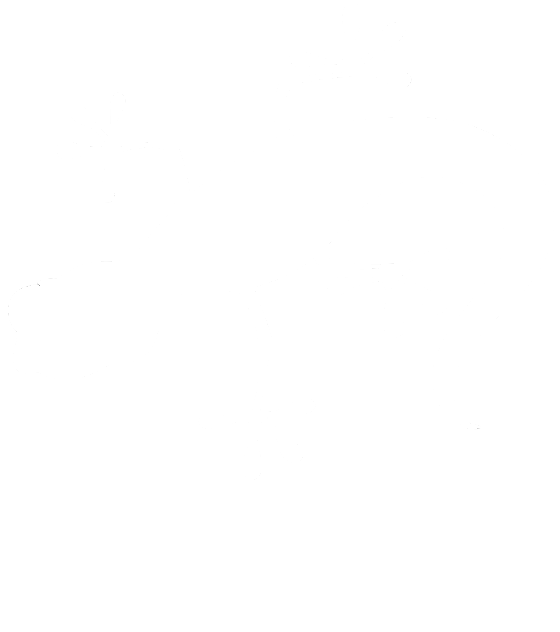 Gecko Hygiene logo